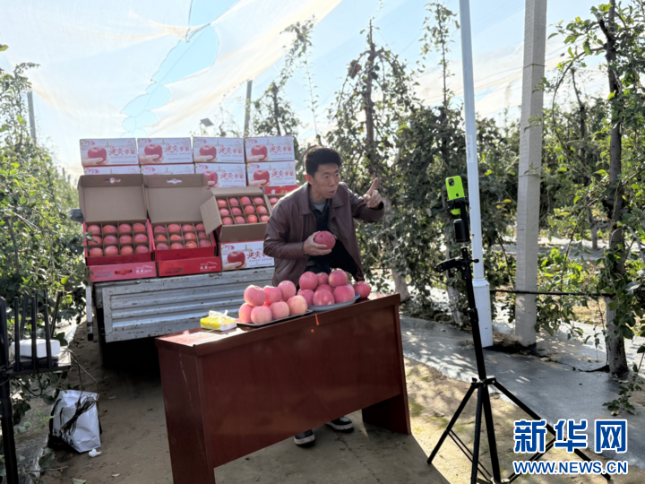 小苹果“飞”出山沟沟-　　赵伟在