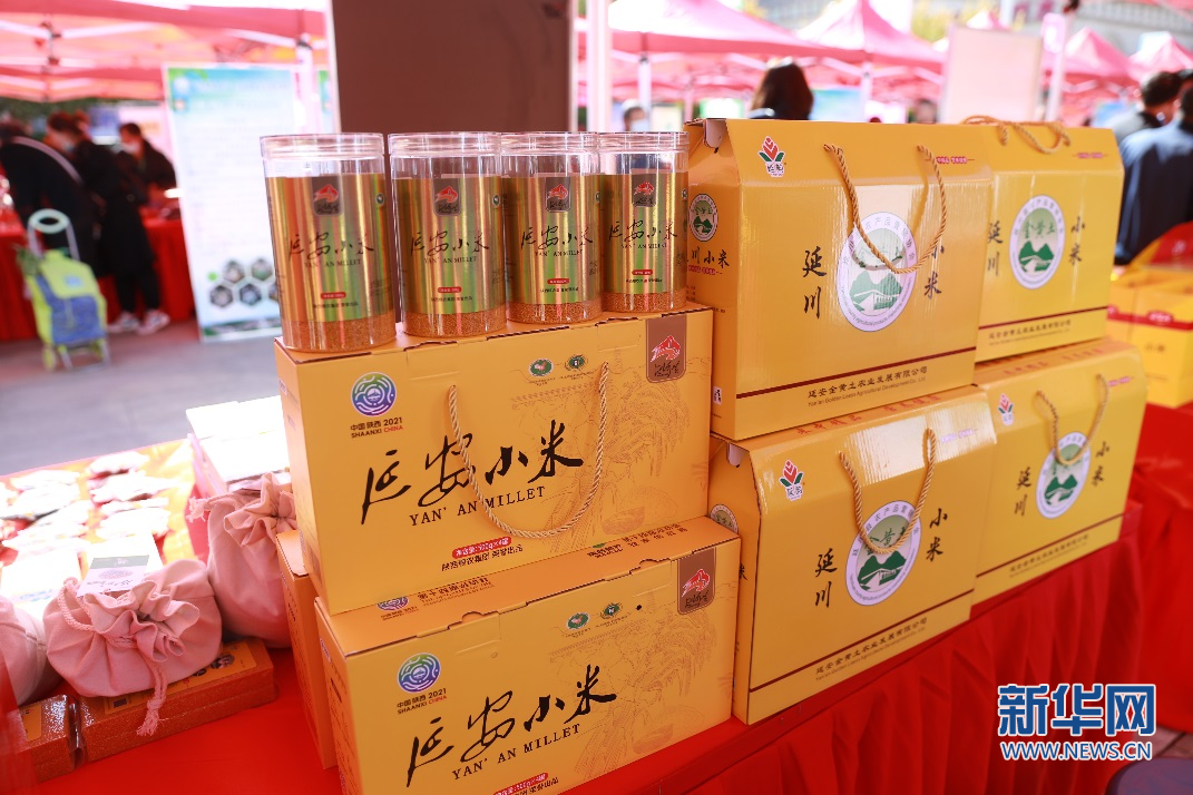 国色话小米：&ldquo;延安小米&rdquo;究竟有多养人？