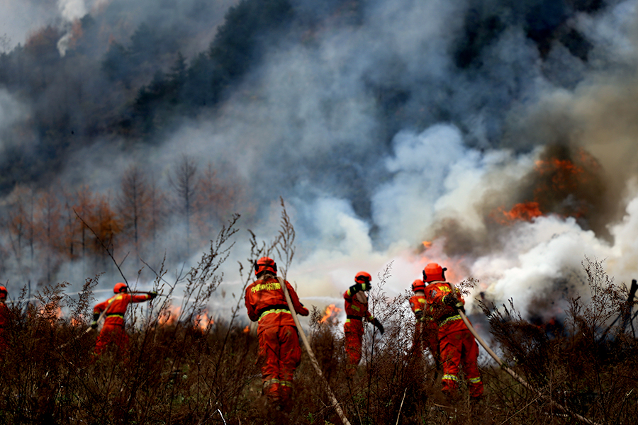 森林草原防灭火工作主要是保护生态系统的完整性