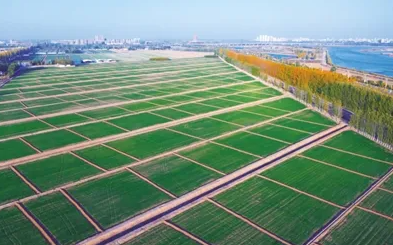 陕西完成首批高标准农田建设新增耕地和新增产能交易