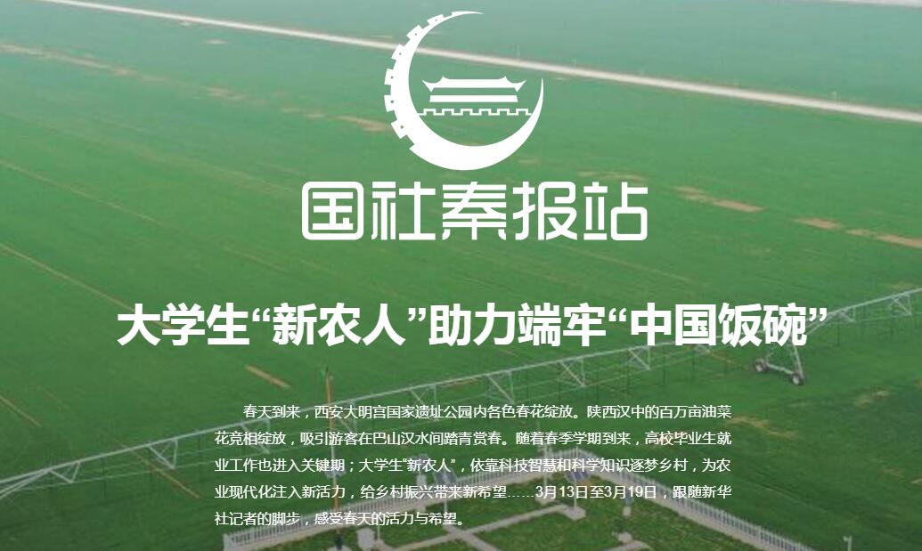 國社秦報站丨大學生“新農人”助力端牢“中國飯碗”