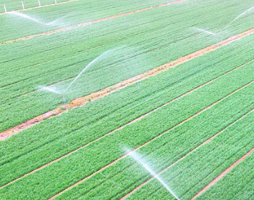 陕西各地做好农作物春季抗旱灌溉工作