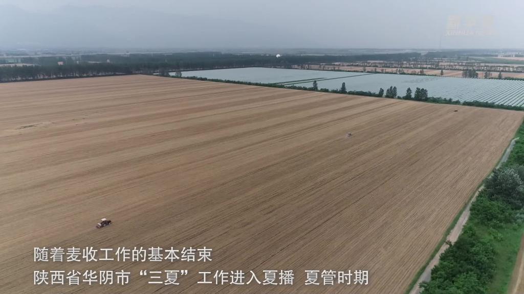 陜西華陰:農技服務助力夏播高效開展